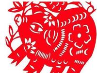 2019年是什么生肖年,2019年属什么生肖