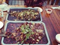 这些星座的吃货程度超乎你的想象