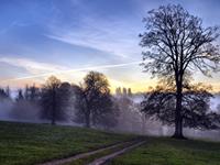 处女座该从哪方面找自己的失败原因