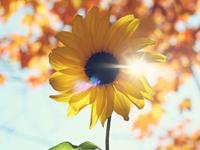 处女座哪件事越想越后悔