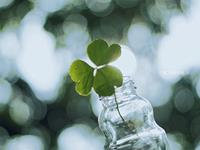 紫微斗数天相星2017年6月运势