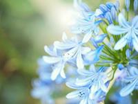 12星座五月下旬爱情运势（上）