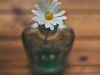 八卦因子作祟的三大星座