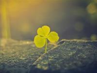 给处女座的毒鸡汤