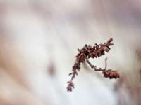 取悦了别人，委屈了自己，这些星座何必呢？