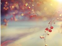 上半年末财运当头的生肖