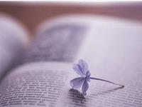 董易林2017年6月生肖牛运程