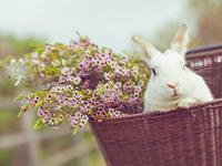 12星座的一生都要经历什么（上）