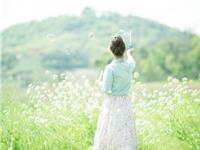 十二生肖谁口碑最好