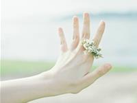 铃兰一周塔罗情感运势（6.19-6.25）