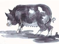 生肖猪男忙碌之余如何讨老婆开心