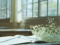 徐墨斋2017年7月生肖猪运势