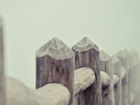 心口不一12星，你看懂没？（上）