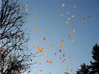 三种不能摆放在客厅的物品