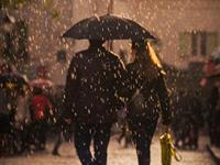 占卜你的爱情致命伤是什么