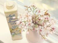 竹猫星球一周塔罗运势(7.3-7.9）