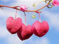 巨蟹座讨厌一个人的方式