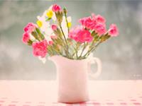 双鱼座讨厌一个人的方式