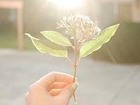 塔罗右手一周塔罗运势（7.10-7.16）