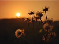 哪种风水会破坏财运呢？