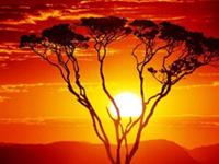 双子座最恨什么样的人