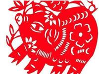 生肖猪睡觉之前有什么怪癖