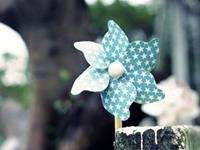 天秤座：我有一个牛逼闪闪的梦想