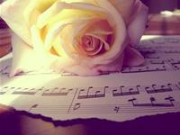 摩羯座的幽默程度如何