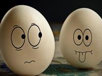 最调皮的四大生肖分别是谁