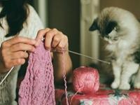 莉娅2017年8月星相播报