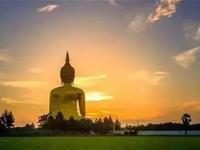 属虎的本命佛是什么