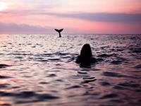 12星座爱情的“杀手”分别是什么