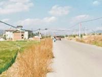 天秤座最讨厌别人管自己什么