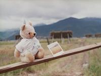 狮子座自己都讨厌的缺点是啥