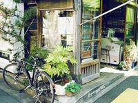 十二星座如何面对水逆