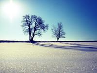 双鱼座一生中最害怕失去什么