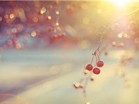 狮子座讨厌和哪个星座做朋友