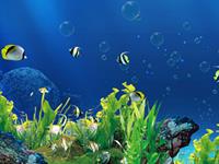 鱼缸背景选择什么图案对风水好