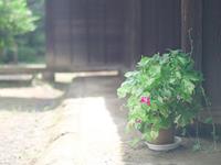 爱莎塔罗本周星座运势（9.4-9.10）