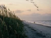 梦见国家领导人的梦哪种预示最爽