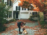 占卜你会为赚钱而不择手段吗