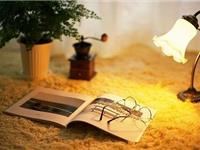 花生塔罗一周运势（9.11-9.17）