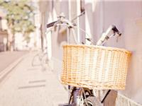 白羊座脸上写着哪两个字