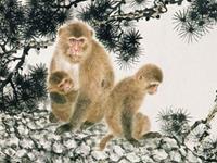 属猴人2019年运势 2019年属猴人的全年运程