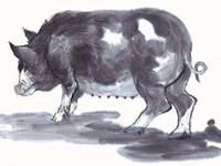 1983年属猪的人2019年运势及运程大全解析