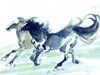 1990年属马的人2019年运势及运程大全解析