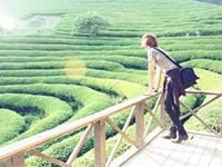 天朗气清，喜欢周末去踏青的四大生肖