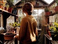 占卜你的吸引力有多强