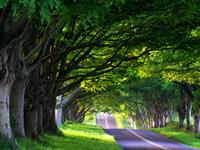 狮子座友情最看重什么