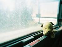 喜欢在台前表现自我的生肖